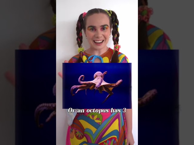 Preload Image